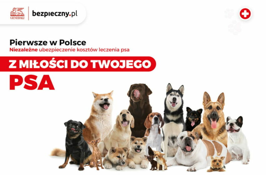  Generali i Bezpieczny.pl: Z myślą o Twoim psie