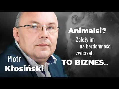  Piotr Kłosiński o likwidacji bezdomności zwierząt: „koniec z lewymi dochodami pseudoekologów”