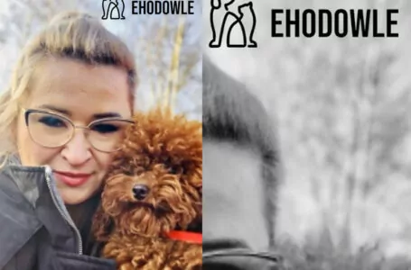eHodowle.pl Portal dla kupujących psy i koty z prawdziwego zdarzenia!