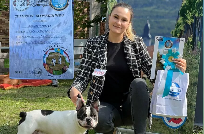 Wystawa psów rasowych WKU w Bilinie w Czechach